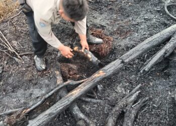 Saat patroli Polres Rohil amankan satu orang terduga karhutla di wilayah TPTM