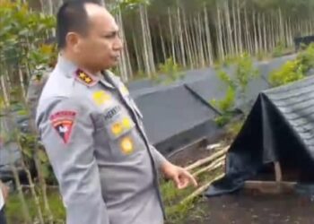 Kapolda Riau Inisiasi Penanaman Geronggang, Dukung Lingkungan dan Ekonomi Warga